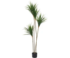 Beliani Dirbtinis augalas DRACAENA DRACO 165 cm Žalias