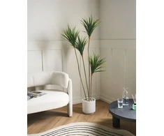 Beliani Dirbtinis augalas DRACAENA DRACO 165 cm Žalias
