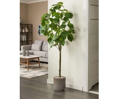 Beliani Dirbtinis augalas FICUS TREE 160 cm žalias