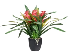 Beliani Dirbtinis augalas GUZMANIA ATILLA 50 cm Žalias