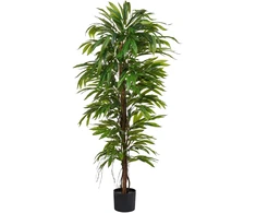 Beliani Dirbtinis augalas LONGIFOLIA 155 cm žalias