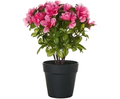 Beliani Dirbtinis augalas NOVELLA 36 cm Rožinis