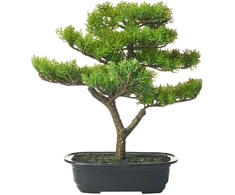 Beliani Dirbtinis augalas PINE 37 cm, žalias