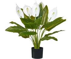 Beliani Dirbtinis augalas SPATHPHYLLUM 70 cm žalias