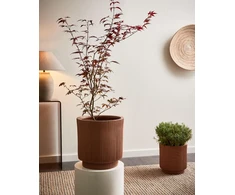 Beliani Gėlių vazonas DARIA 37 cm ruda