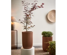 Beliani Gėlių vazonas EANTIO 30 cm rudas