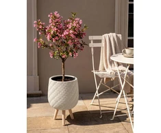 Beliani Pastatomas vazonas PAVONE 27 cm smėlio spalvos