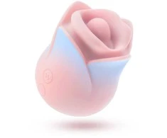 BLUSH COLLECTION BUČIUOJANČIOS ROŽĖS ROŽINIS