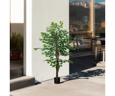 Dirbtinis augalas HOMCOM, 150 cm, su vazonu, dirbtinės samanos, dirbtinis Ficus medis, kambarinis augalas svetainei, žalias