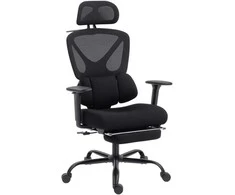 HOMCOM Ergonominė biuro kėdė su ratukais, tinklelio audiniu, juosmens atrama, kompiuterinė kėdė su porankiais, reguliuojama galvos atrama
