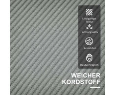 HOMCOM Sofa 2 sėdimų vietų maža sofa su porankiu, daiktadėžė, šiuolaikiška minkšta sofa, medinės kojos, pagalvėlės, svetainės sofa, miegamasis, 117 x 63 x 79 cm, šviesiai pilka