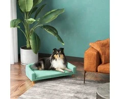 PawHut sofa šunims Patogi sofa su pagalvėle, idealiai tinka dideliems šunims, paaukštinta konstrukcija, medinės kojos, žalia, 98x67x25cm