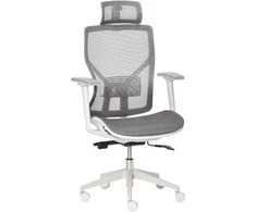 Vinsetto Ergonomiška biuro kėdė su galvos atlošu, juosmens pagalvėle, 3D porankis