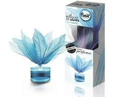 Aromatinių žiedlapių puokštė Brait Night Sapphire 50ml