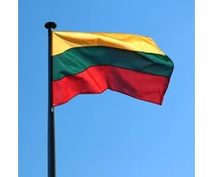 Epigone Siūta Stiebinė Lietuvos Vėliava