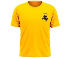 KS Lietuva Futbolas Marškinėliai Vaikams (vėliavėlė ant nugaros), Dydis: 12 metų
