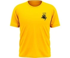 KS Lietuva Futbolas Marškinėliai (vėliavėlė ant nugaros), Dydis: M