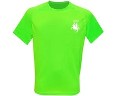KS Sportiniai Marškinėliai Vytis Lietuva (Neon Žalias), Dydis: XXL