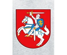 KS Vaikiškas Džemperis Vytis Lietuva, Dydis: 14 metų