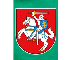 KS Vaikiškas Džemperis Vytis Lietuva, Dydis: 14 metų