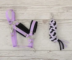 Super Hobby Horse Hobi arkliuko kantaras ir pavadys – juoda ir violetinė