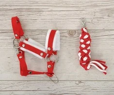 Super Hobby Horse Hobio arkliuko kantaras A3 su balta pūkuota apdaila + balta-raudona pavadė