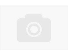 3D Plastikas – Filamentas PLA wood | 1.75 mm, 1kg | Sprint