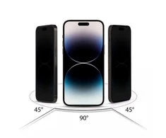 Apsauginis stiklas Apple iPhone 16 Hofi Anti Spy Glass Pro+ 2 vnt.