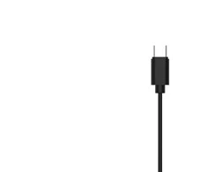 Ausinės Philips TAE2146BK/00, USB-C, Juodos