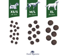 BALTICA Smaki regionów Small breeds antiena with pear – sausas Maistas šunims – 6kg