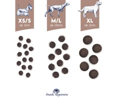BALTICA Smaki regionów Small breeds Venison with forest fruits – sausas Maistas šunims – 1kg