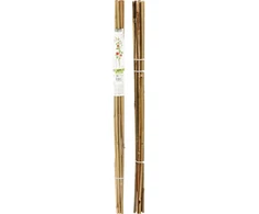 ProGarden Bambuko atramos augalams 116 cm, 10 vnt.