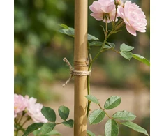 ProGarden bambuko lazdos augalams 60 cm, 10 vnt