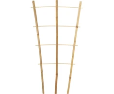 ProGarden Bambukiniai augalų atramos 45 cm, 3 vnt