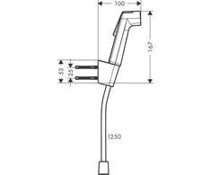 Bidė dušelis Hansgrohe 29238140, bronza
