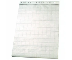 Bloknotas konferencijų stovui 65x100cm 50 lapų langeliais Esselte