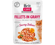 Brit Care Fillets In Gravy su lašiša, 85 g