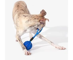 Carruzzo Cheerble Wicked Ball Air Rope