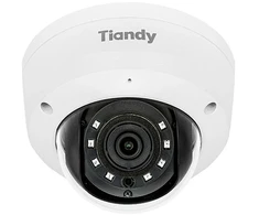 Carruzzo Vandal-Proof IP Camera TC-C35KS 5 Mpx 2.8 mm