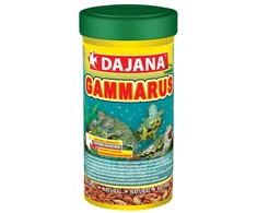 Dajana Šoniplaukos 500ml/50g