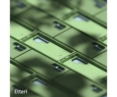 Dėklas Telforceone Etteri Silicone Samsung Galaxy S25 Ultra šviesiai žalios spalvos