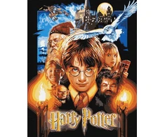 Dėlionė Ideyka TAPYBA PAGAL SKAIČIUS RINK HARRY POTTER