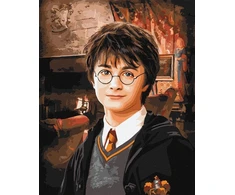 Dėlionė Ideyka TAPYBA PAGAL SKAIČIUS RINK HARRY POTTER