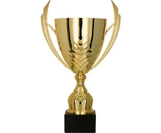 Detal Auksinė metalinė taurė 4224C