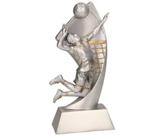 Detal Lieta figūrėlė – tinklinis RP2005
