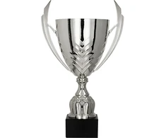 Detal Sidabrinė metalinė taurė 4225B