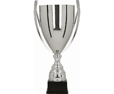 Detal Sidabrinė metalinė taurė BASTERS 1058A