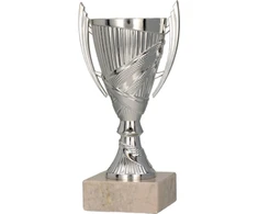 Detal Sidabrinė plastikinė taurė 9082/S 9082/S