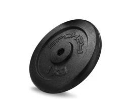 Diskinis svoris Spokey, 1kg