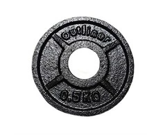 DISKINIS SVORIS YLPS36A 0.5KG 31MM OUTLINER